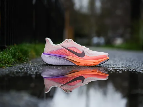 The Nike Pegasus 42